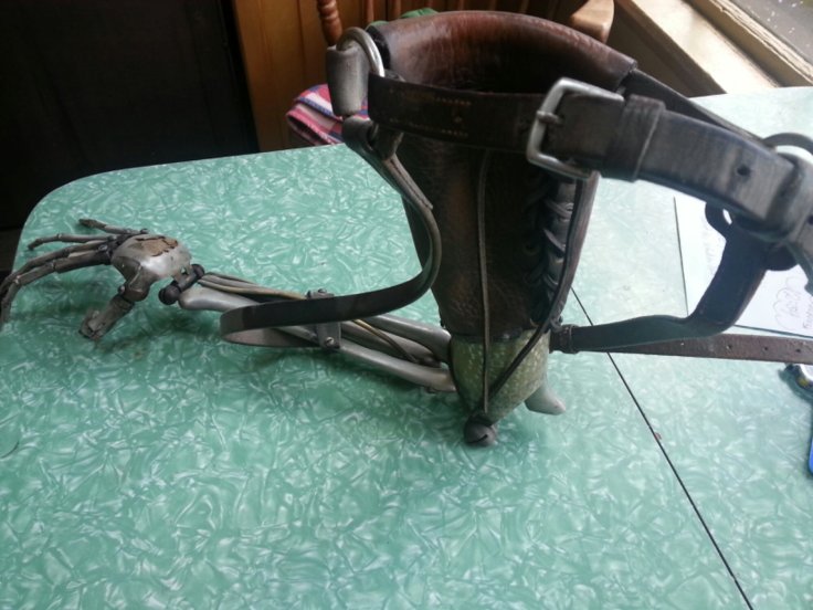 20140330_130249.jpg image